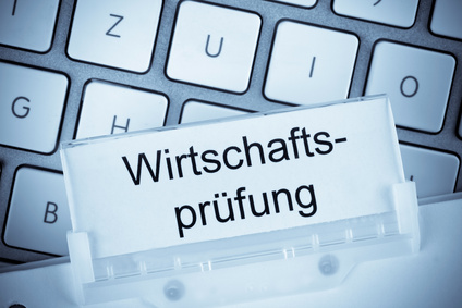 Hängeregister Wirtschaftsprüfung